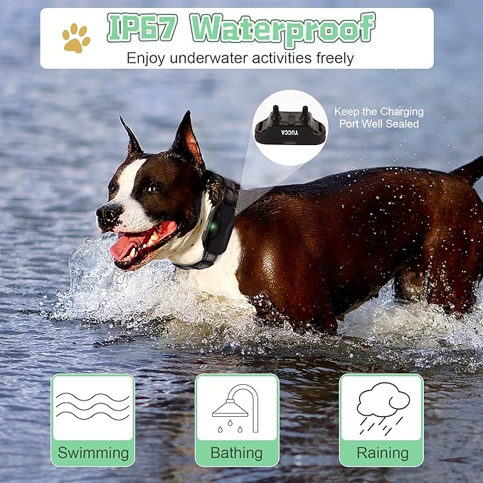 Yucca Dog Shock Collar with Remote 2600Ft 4 Training 60-100 lbs