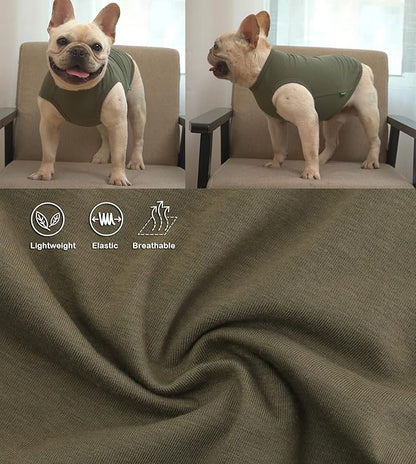 Dog Blank Cotton Shirts