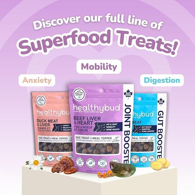 healthybud Calming Aid Supplement (4.6 Ounces)