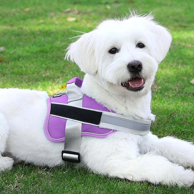 Bolux Dog Harness, No-Pull Reflective Dog Vest, Breathable Adjustable Pet Harness with Handle for Outdoor Walking - No More Pulling, Tugging or Choking (Lavender, Medium (Pack of 1))