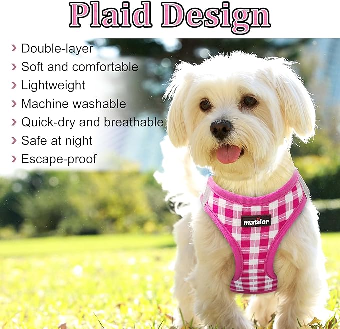 Dog Harness Step-in Breathable Puppy Cat Dog Vest Harnesses for Small Medium Dogs