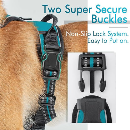 rabbitgoo Dog Harness, No-Pull Pet Harness with 2 Leash Clips, Adjustable Soft Padded Dog Vest, Reflective No-Choke Pet Oxford Vest with Easy Control Handle for Large Dogs, Teal, L