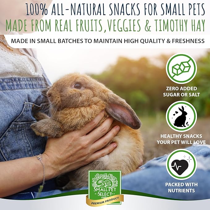 Small Pet Select Healthy Snackers - Apple, 4 oz