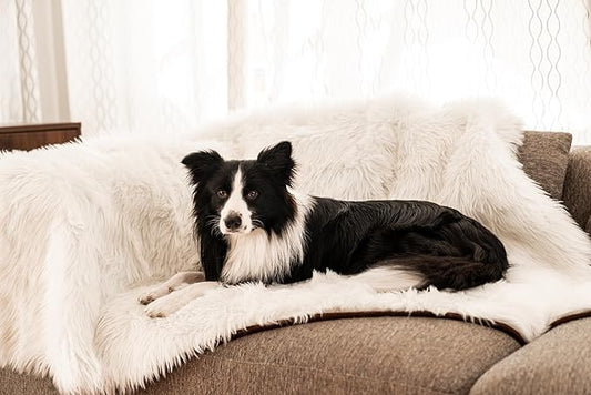 PupProtector Waterproof Throw Blanket for Dogs and Cats (60" L 50" W)