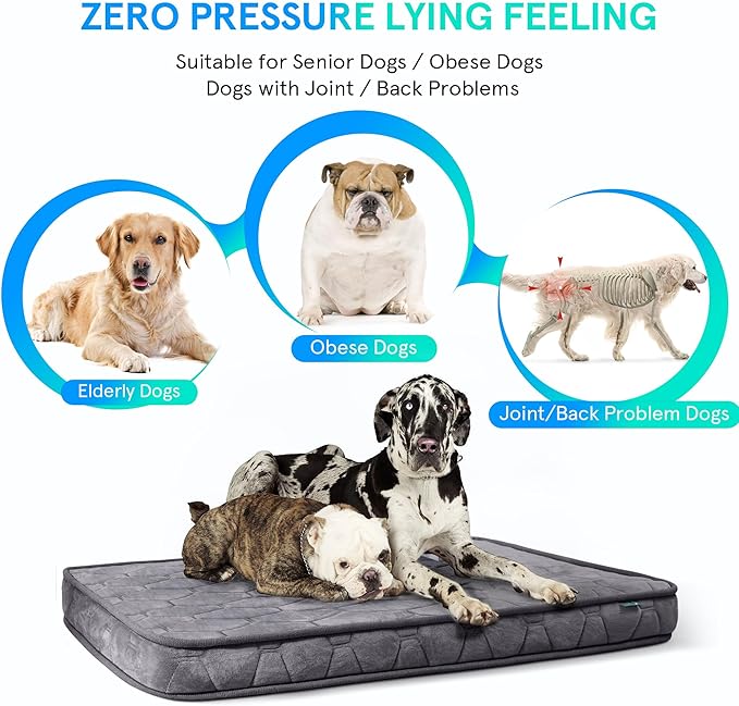 Sping Orthopedic Dog Beds for Large Dogs 10 Years Collapse,4 Inch