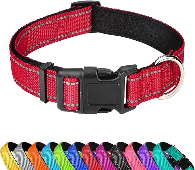 Reflective Dog Collar