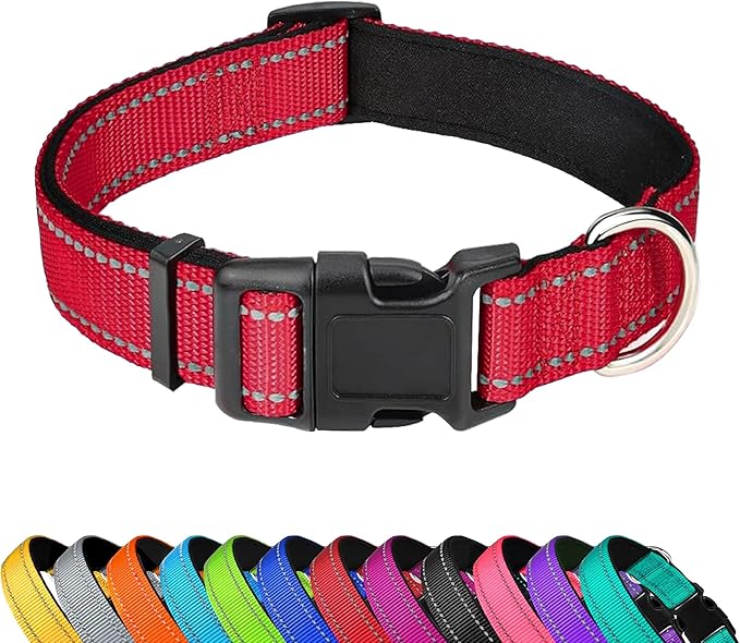 Reflective Dog Collar