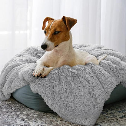 LOCHAS Luxury Fluffy Dog Blanket 20''x30'' Light