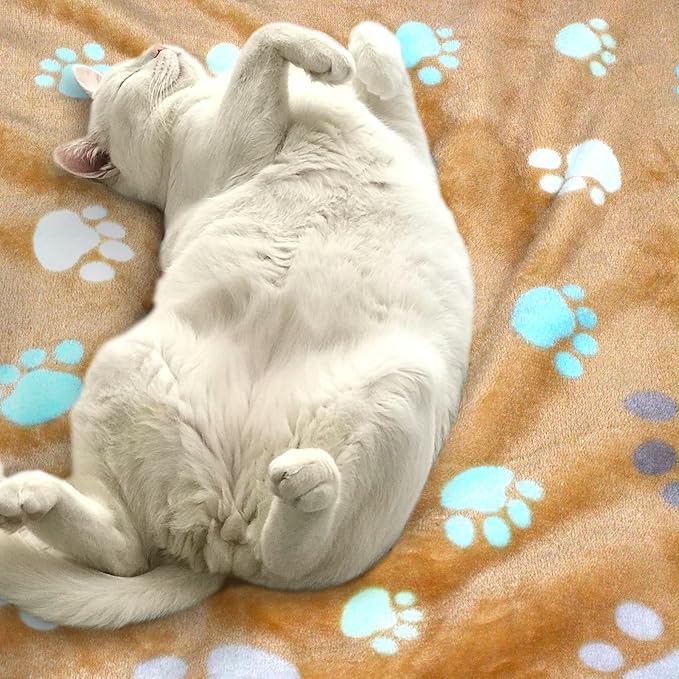 Dog Blankets Washable 3 Pack 41" x 31", Fuzzy 41 in 31 in