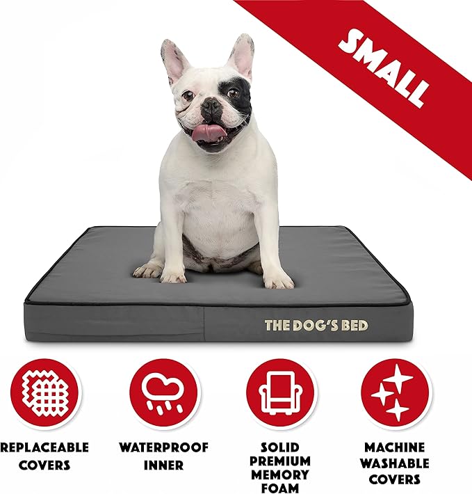 The Dog’s Bed Orthopedic Memory Foam Dog Bed 28x19, Pain