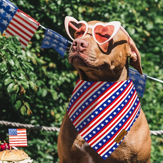 4th of July Dog Bandanas 2 Pack
