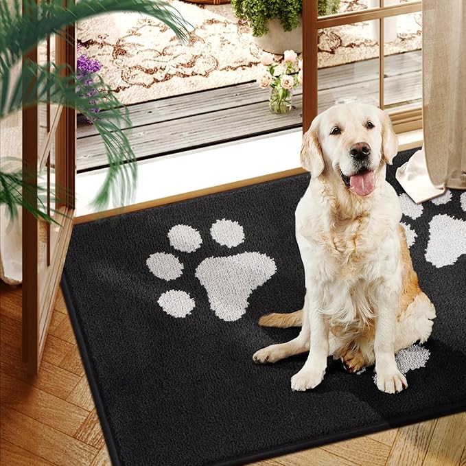 Mibao Door Mat Indoor 31.5" x 19.5", Black