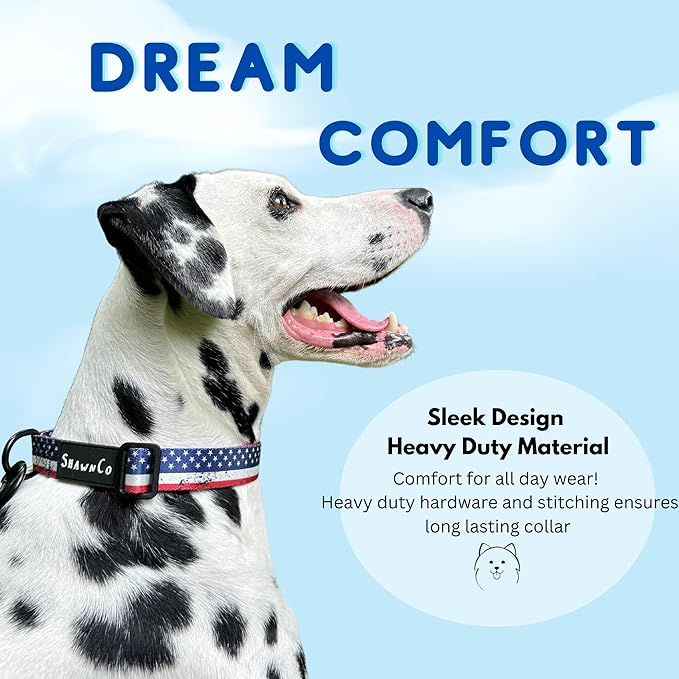 ShawnCo Dream Walk Dog Collar- Premium