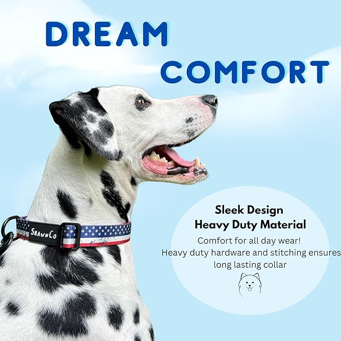 ShawnCo Dream Walk Dog Collar- Premium