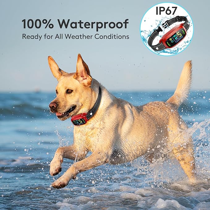 Dog Bark Collar 5 Adjustable