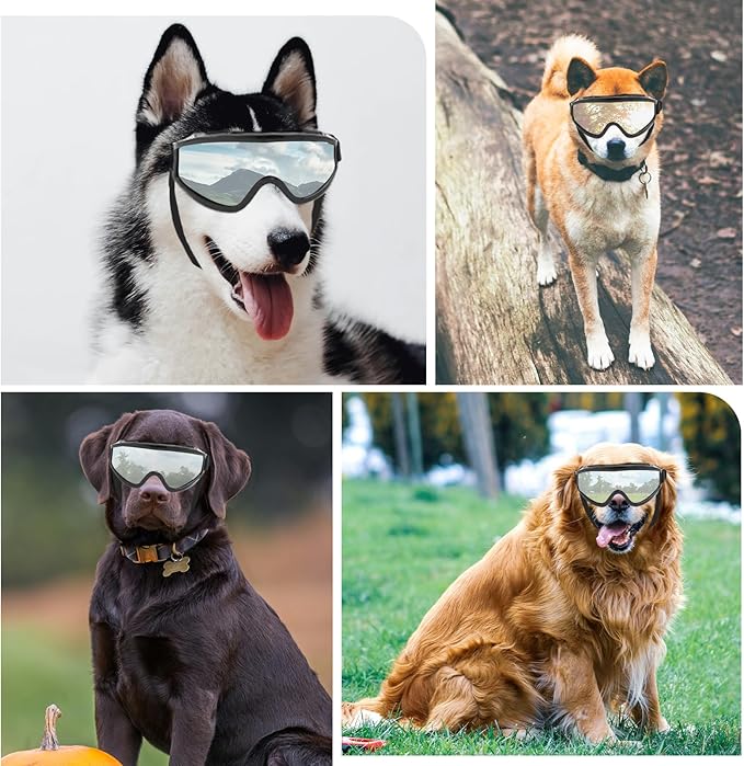Dog Goggles Large Breed