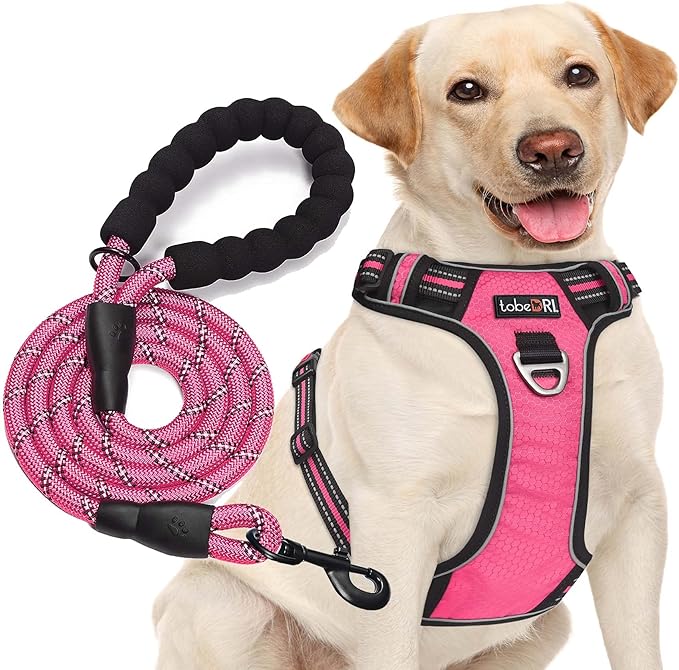 tobeDRI No Pull Dog Harness Adjustable Reflective Oxford Easy Control Medium Large Dog Harness with A Free Heavy Duty 5ft Dog Leash (S (Neck: 13"-18" 17.5"-22"), Pink