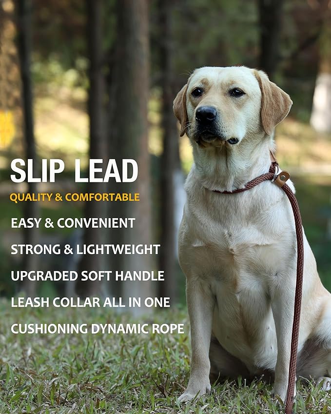 lynxking 8 FT Dog Leash Slip Lead 2