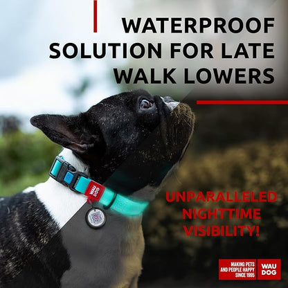 Waterproof Dog Collar (11" - 15 1/2"