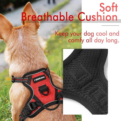 rabbitgoo Dog Harness 2 Leash