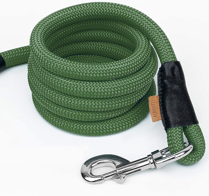 Dog Leash ((1/2") - 6FT, Dark