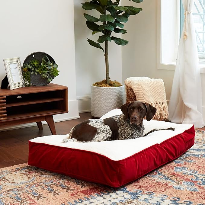 Buster Deluxe Reversible Pillow Style Sherpa Dog Bed (42 x 30 in.)