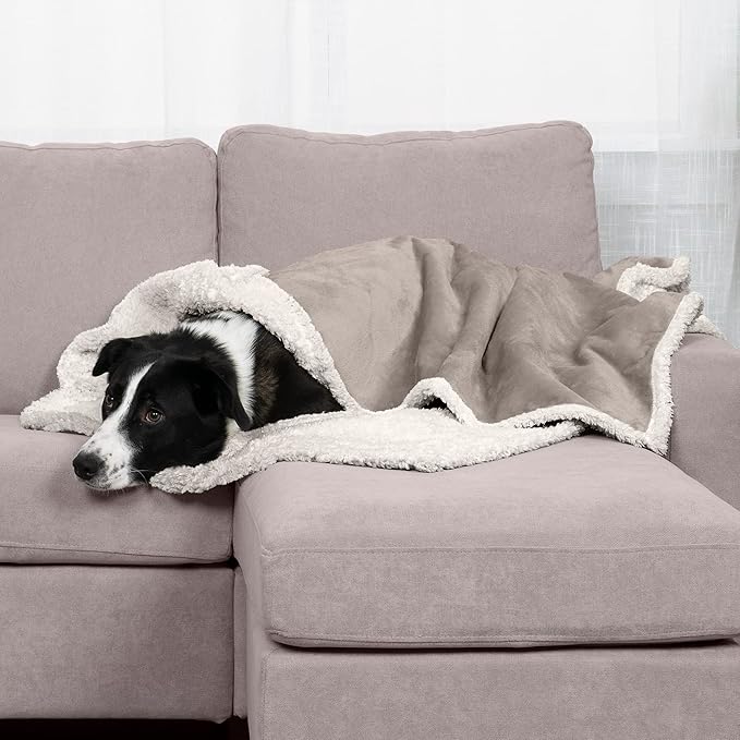 Furhaven Waterproof & Self-Warming Throw Blanket for Dogs & Indoor Cats