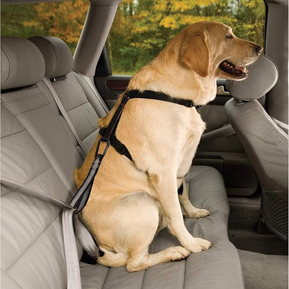 Kurgo Dog seat Belt Pet Safety Tether with Carabiner, Tru-Fit Enhanced Strength Replacement Tether, Use with Car Safety Dog Harness, seat Belt Tether (Black/Grey)