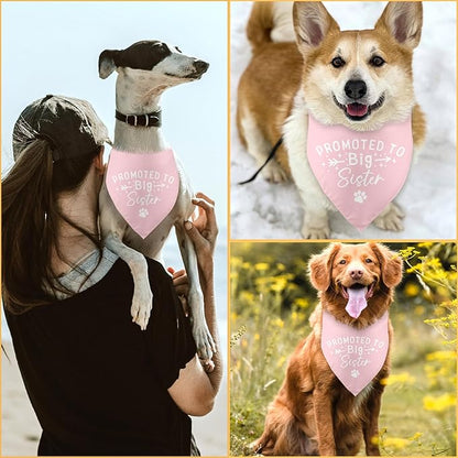Promoted to Big Sister Dog Bandana Pregnancy Announcement