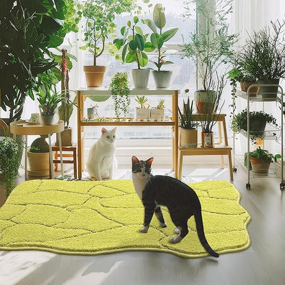 BSICPRO Dog Mat for Muddy Paws 24x36 Inches