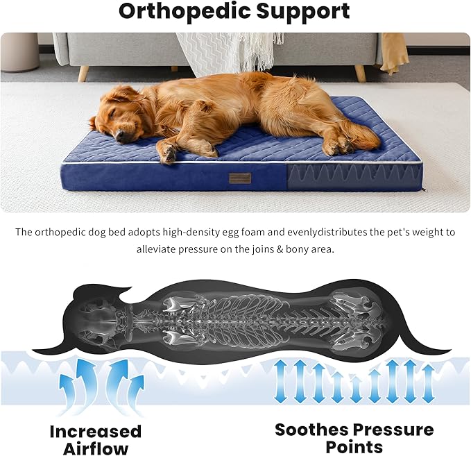 SunStyle Home Orthopedic Dog Beds for Small Dogs