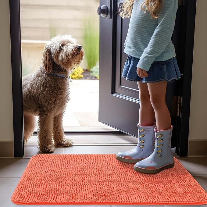 OLANLY Dog Door Mat for Muddy Paws 30x20