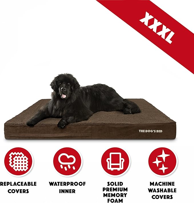 The Dog’s Bed Orthopedic Memory Foam Jumbo Dog Bed 64x44, Pain
