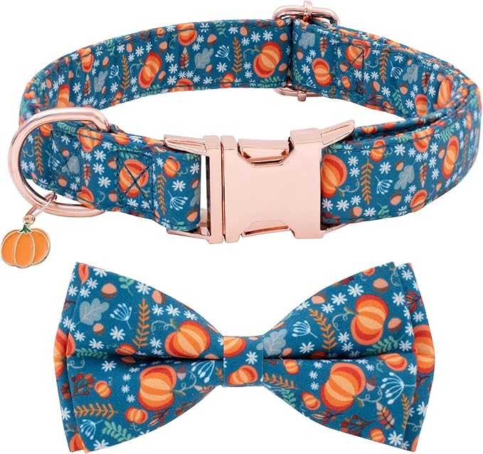 Faygarsle Bow Tie Dog Collar Halloween Fall