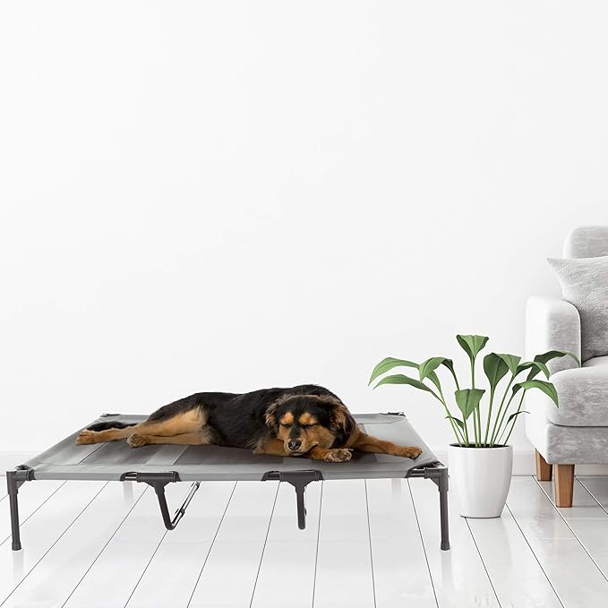 Elevated Dog Bed 48x35.5-Inch Portable 110lbs by