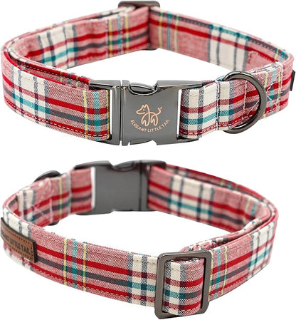 Elegant little tail Dog Collar with Flower