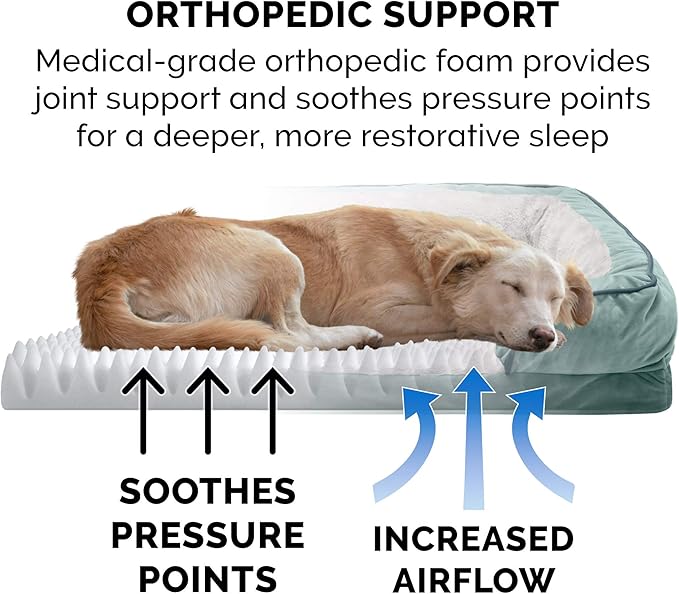 Furhaven Orthopedic Dog Bed for Medium/Small Dogs w/ Removable Bolsters & Washable Cover 35 lbs