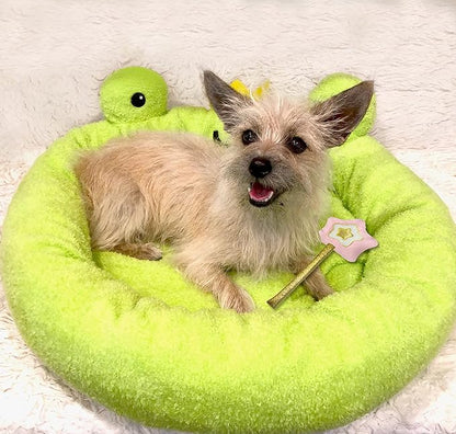 TONBO Soft Plush Small Cute and Cozy Food Dog Cat Bed, Washer and Dryer Friendly (Frog)