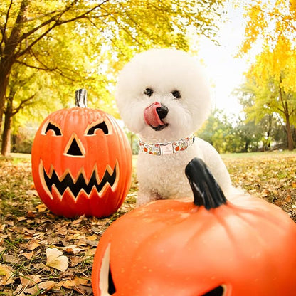 Lionheart glory Dog Collar Halloween Collar Dog Fall Dog Collars