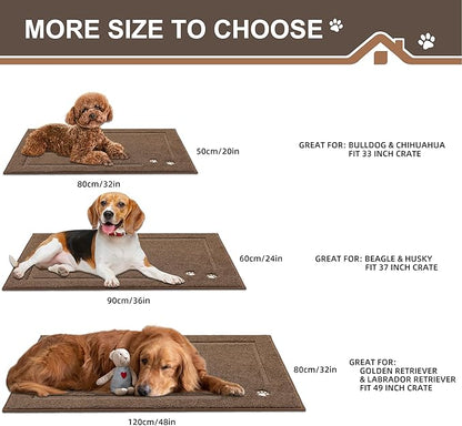 BEQHAUSE Dog Door Mat for Muddy Paws Absorbent Dirt Trapper Entryway Rug Non-Slip Washable Dog Welcome Mat Soft Mud Mat for Dogs Entry Indoor Door Mat for Inside Floor 20"x32"