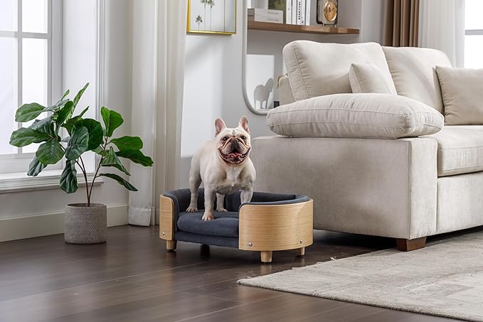 Dog Bed for Small Dogs Unique Design 220Lbs