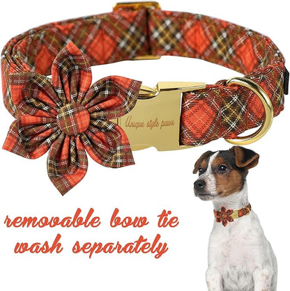 Unique Style Paws Cotton Dog Collar with Bow