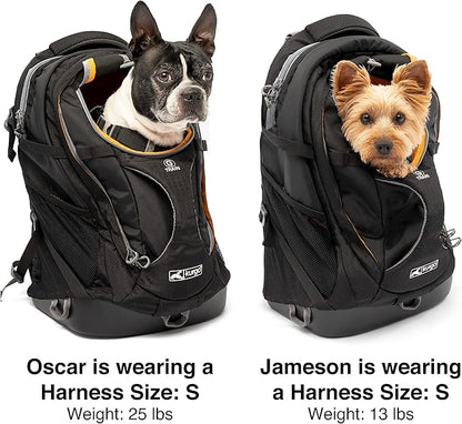 Kurgo G-Train - Dog Carrier Backpack for Small Pets - Cat & Dog Backpack for Hiking, Camping or Travel - Waterproof Bottom - Navy Blue