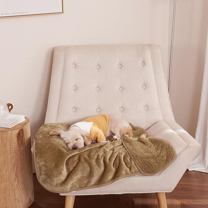 NICETOWN Dog Blankets for Small Medium Dogs Waterproof Cat Blanket Washable 30"X40", Taupe
