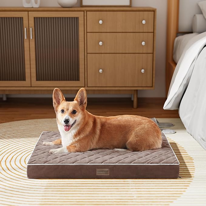 SunStyle Home Orthopedic Dog Beds for Small Dogs