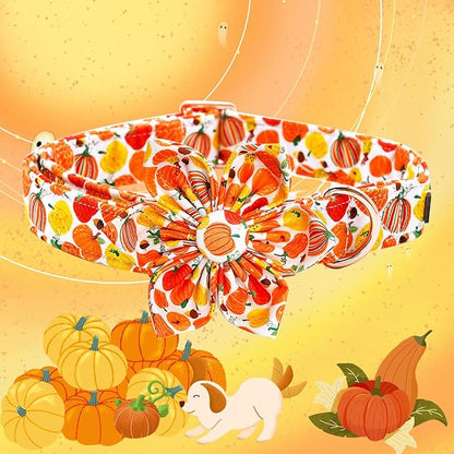 Elegant little tail Dog Collar with Flower