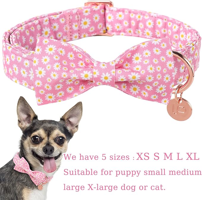 Summer Dog Collar with Bow Tie 16-24in