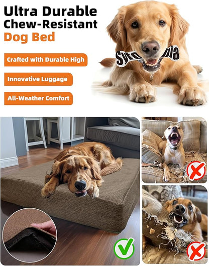 Sytopia Outdoor Dog Beds for Large Dogs with Detachable Blanket (36 x 27 in)