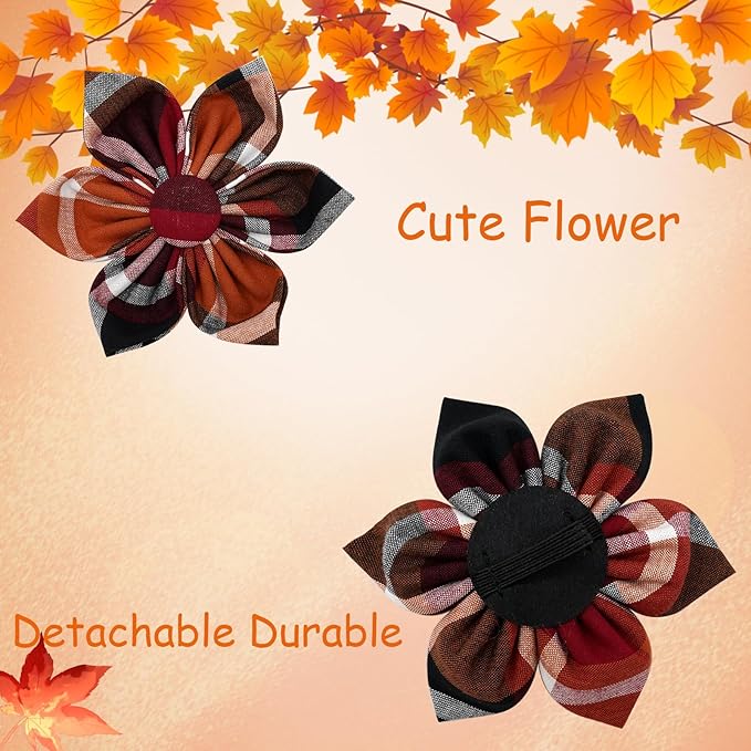 Elegant little tail Fall Dog Collar