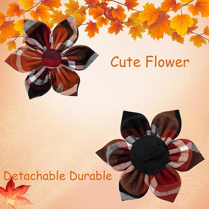 Elegant little tail Fall Dog Collar